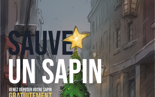 Collecte de sapins de Noël